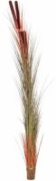 EUROPALMS Roseau avec quenouilles, brun clair, artificiel, 152cm