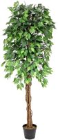 EUROPALMS Ficus Tree Multi-Trunk, plante artificielle, 180cm