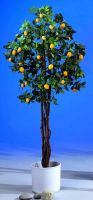 EUROPALMS Zitronenbaum, 180cm