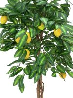 EUROPALMS Citronnier, plante artificielle, 180cm