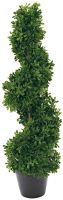 EUROPALMS Spiralbaum, 61cm