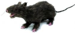 EUROPALMS Ratte, lebensecht mit Fell 30cm