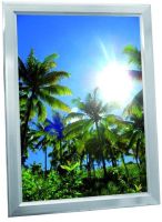 EUROPALMS Reklamewand A1, beleuchtet, aluminium
