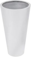 EUROPALMS LEICHTSIN ELEGANCE-69, silber, glnzend