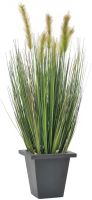 EUROPALMS Pturin en pot, artificiel, 60cm