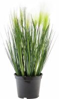 EUROPALMS Herbe  plumes, artificielle, blanche, 60cm