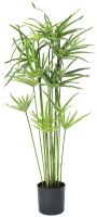 EUROPALMS Herbe de Chypre, artificielle, 76cm