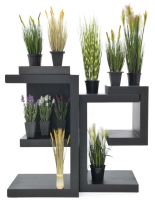 EUROPALMS Lavendel, ros, im Dekotopf, 45cm