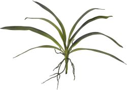 EUROPALMS Feuille d'orchide (EVA), arificielle, verte, 45cm