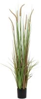 EUROPALMS Gazon de fontaine, artificiel, 120cm