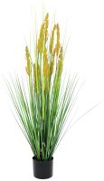 EUROPALMS Herbe  perroquet, artificielle, 120cm