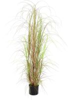 EUROPALMS Buisson de gazon, artificiel, 150cm