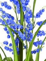 EUROPALMS Bellflower, fleur artificielle, violet, 105cm