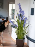EUROPALMS Bellflower, fleur artificielle, violet, 105cm