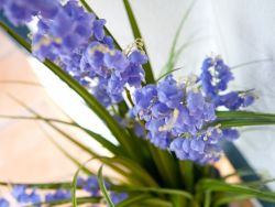 EUROPALMS Bellflower, fleur artificielle, violet, 105cm