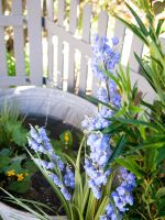 EUROPALMS Bellflower, fleur artificielle, violet, 105cm