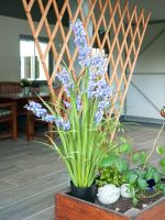 EUROPALMS Bellflower, fleur artificielle, violet, 105cm