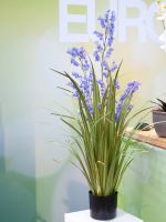 EUROPALMS Bellflower, fleur artificielle, violet, 105cm