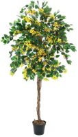 EUROPALMS Bougainvillea, gelb, 180cm