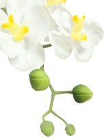 EUROPALMES Arrangement d'orchides 1, artificielles