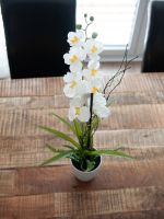 EUROPALMES Arrangement d'orchides 1, artificielles