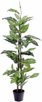 EUROPALMES Dieffenbachia, artificiel, 120cm