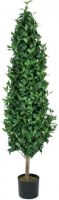 EUROPALMS Laurel Cone Tree, plante artificielle, 150cm
