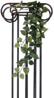 EUROPALMS Pothos arbusto zarcillo clsico, artificial, 70cm
