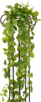 EUROPALMS Pothos arbusto zarcillo premium, artificial, 170cm