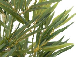 EUROPALMS Bambou deluxe, plante artificielle, 120cm