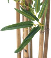 EUROPALMS Bambou deluxe, plante artificielle, 120cm