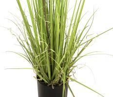 EUROPALMS Arbuste  feuilles persistantes avec gazon, plante artificielle,
