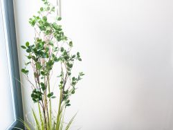 EUROPALMS Arbuste  feuilles persistantes avec gazon, plante artificielle,