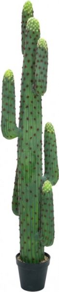 EUROPALMS Mexikanischer Kaktus, Kunstpflanze, grün, 173cm