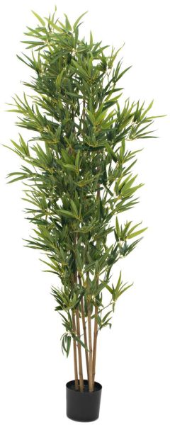 EUROPALMS Bambus deluxe, Kunstpflanze, 180cm