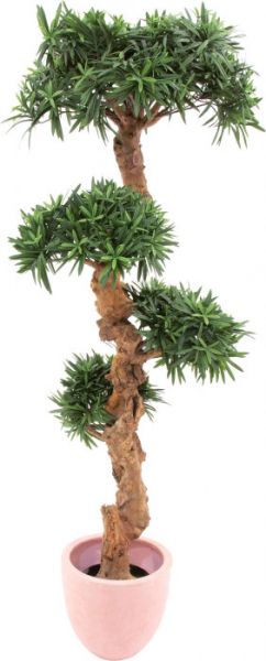EUROPALMS Bonsai-Palmenbaum, 180cm