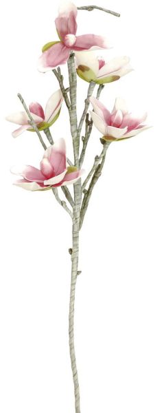 EUROPALMS Magnolienzweig (EVA), weiß-rosa