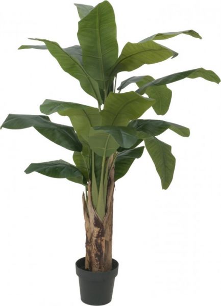 EUROPALMS Bananenbaum, Kunstpflanze, 120cm