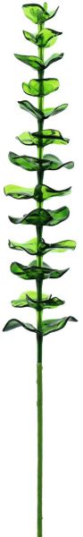 EUROPALMS Kristalleukalyptus, grün 81cm 12x