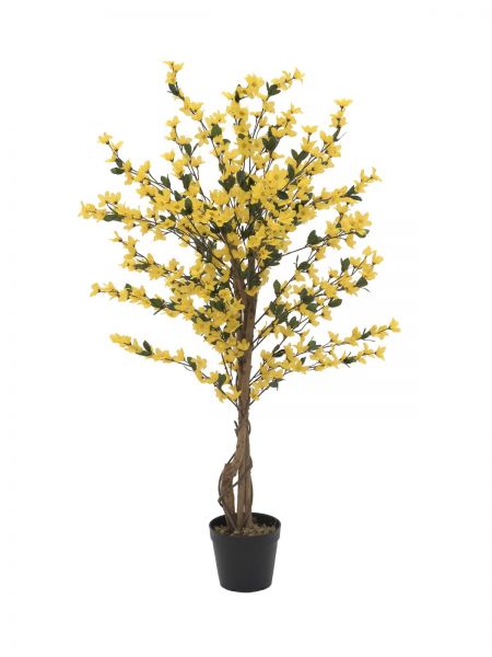 EUROPALMS Forsythienbaum mit 4 Stämmen, gelb, 120 cm