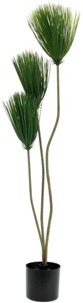 EUROPALMS Papyrus, Kunstpflanze, 100cm
