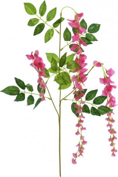 EUROPALMS Wisteria Zweig, rosa