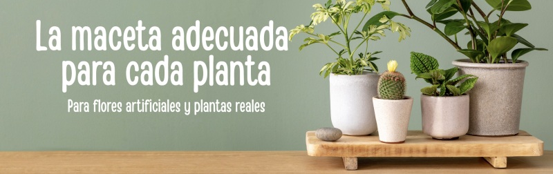 https://www.dekotopia.de/es/macetas/