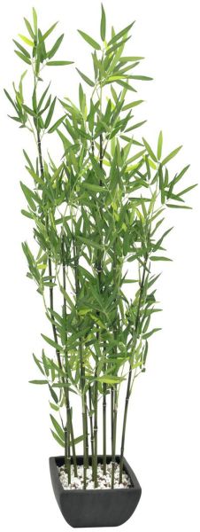 EUROPALMS Zierbambus in Dekoschale, 120cm