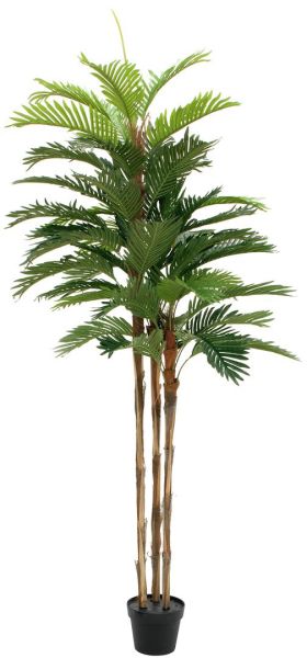 EUROPALMS Kentia Palme, Kunstpflanze, 180cm