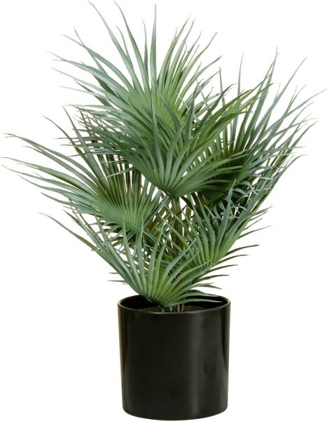 EUROPALMS Fächerpalme, Kunstpflanze, 55cm