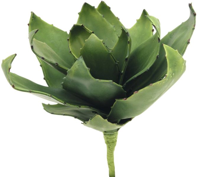 EUROPALMS Agave (EVA), grün, 45cm