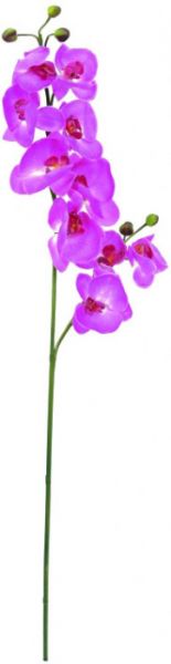 EUROPALMS Orchideenzweig, lila, 100cm