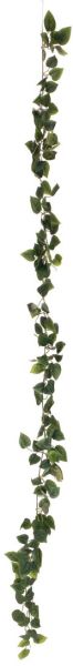 EUROPALMS Philodendrongirlande Classic, 180cm