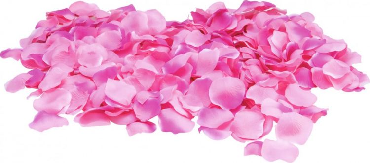 EUROPALMS Rosenblätter, pink, 500x